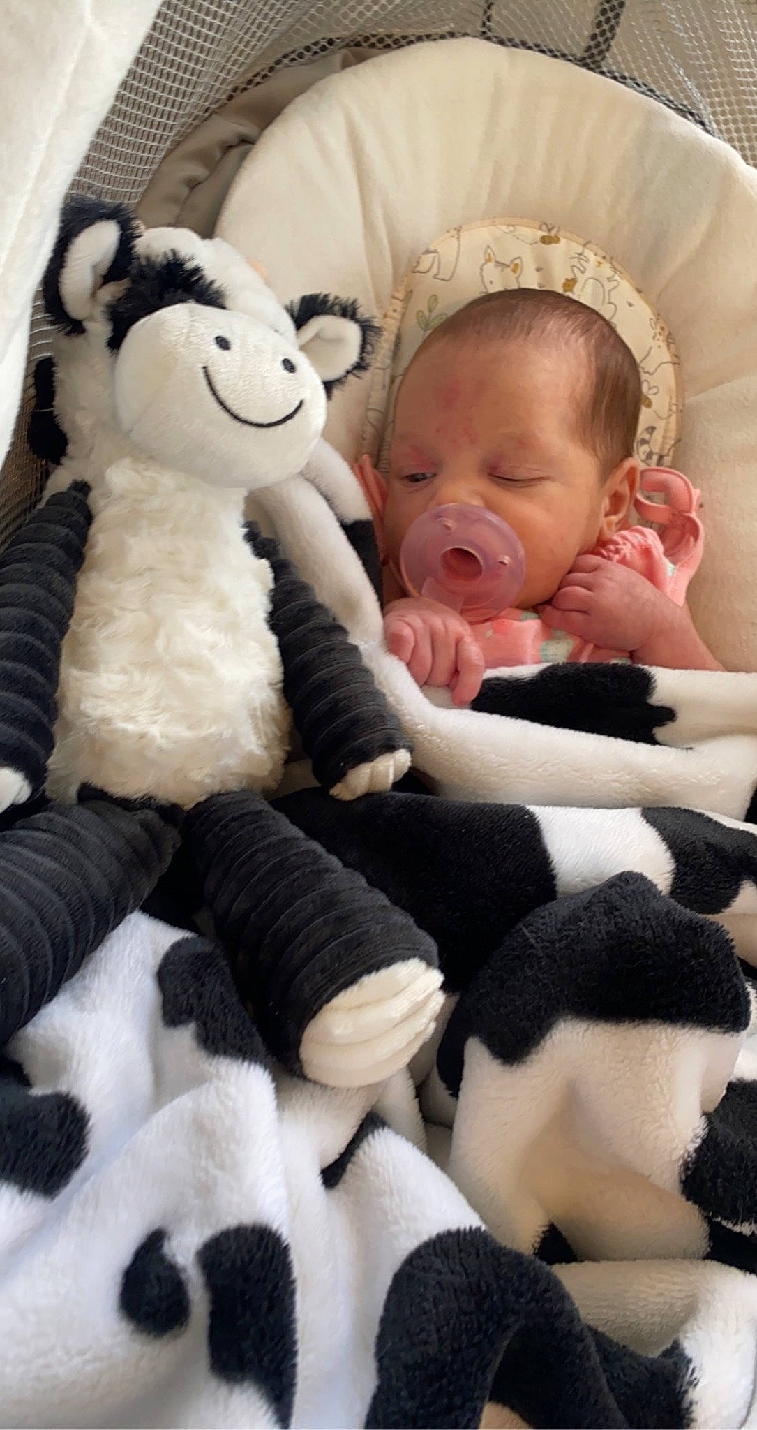 Zoey is registered to the contest to win money with this photo: baby_toddler_clothing, black, cheek, comfort, eye, face, finger, hand, happy, head, headgear, mammal, nose, person, photograph, product, skin, textile, toy, vertebrate