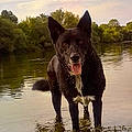 Xavier C.