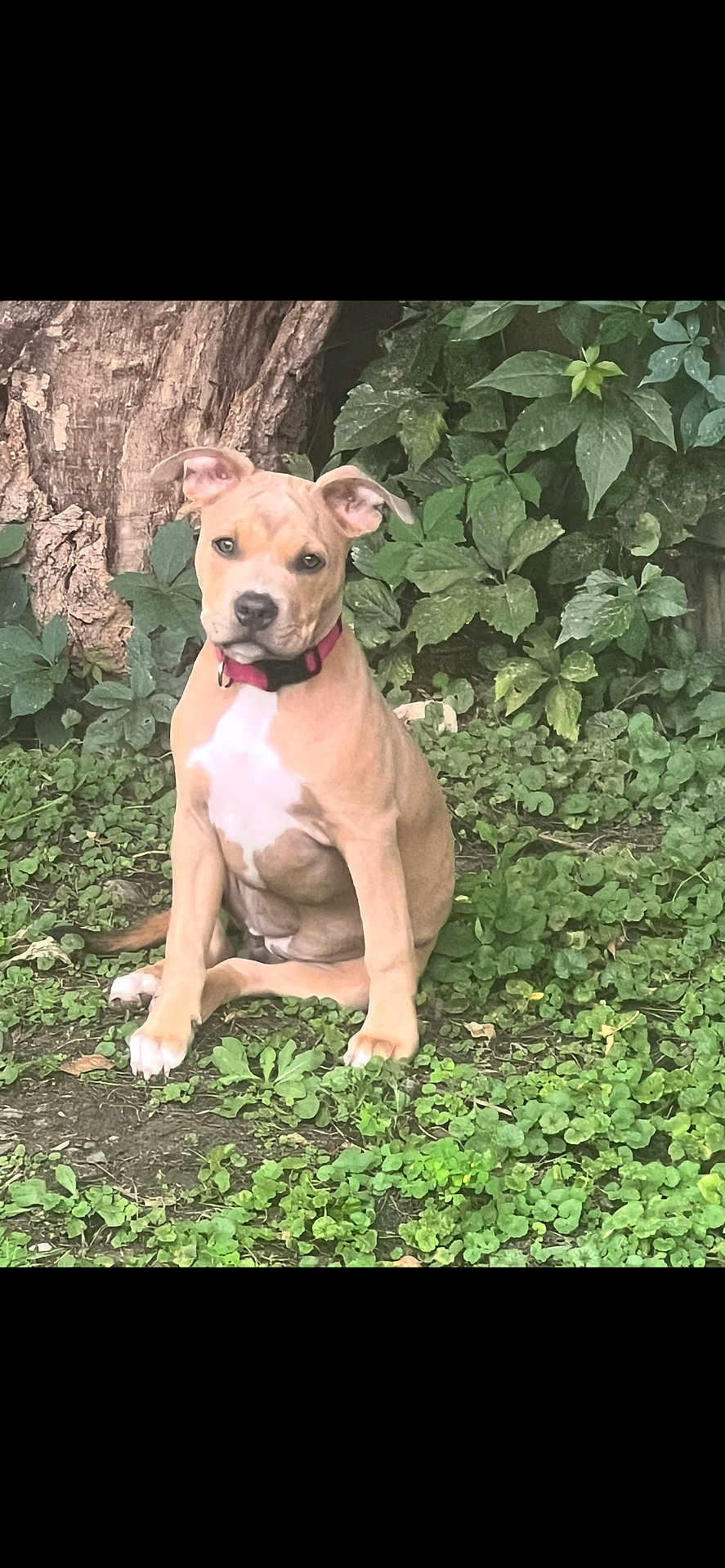 Ruby