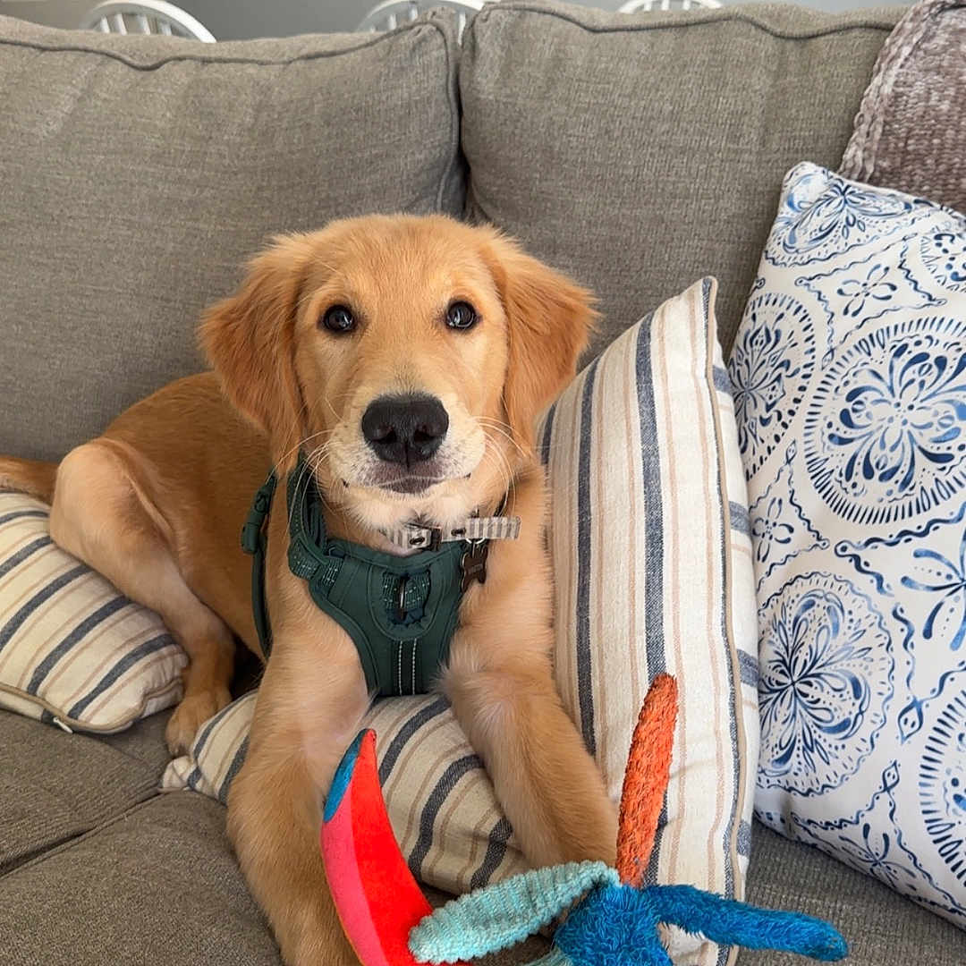Winston