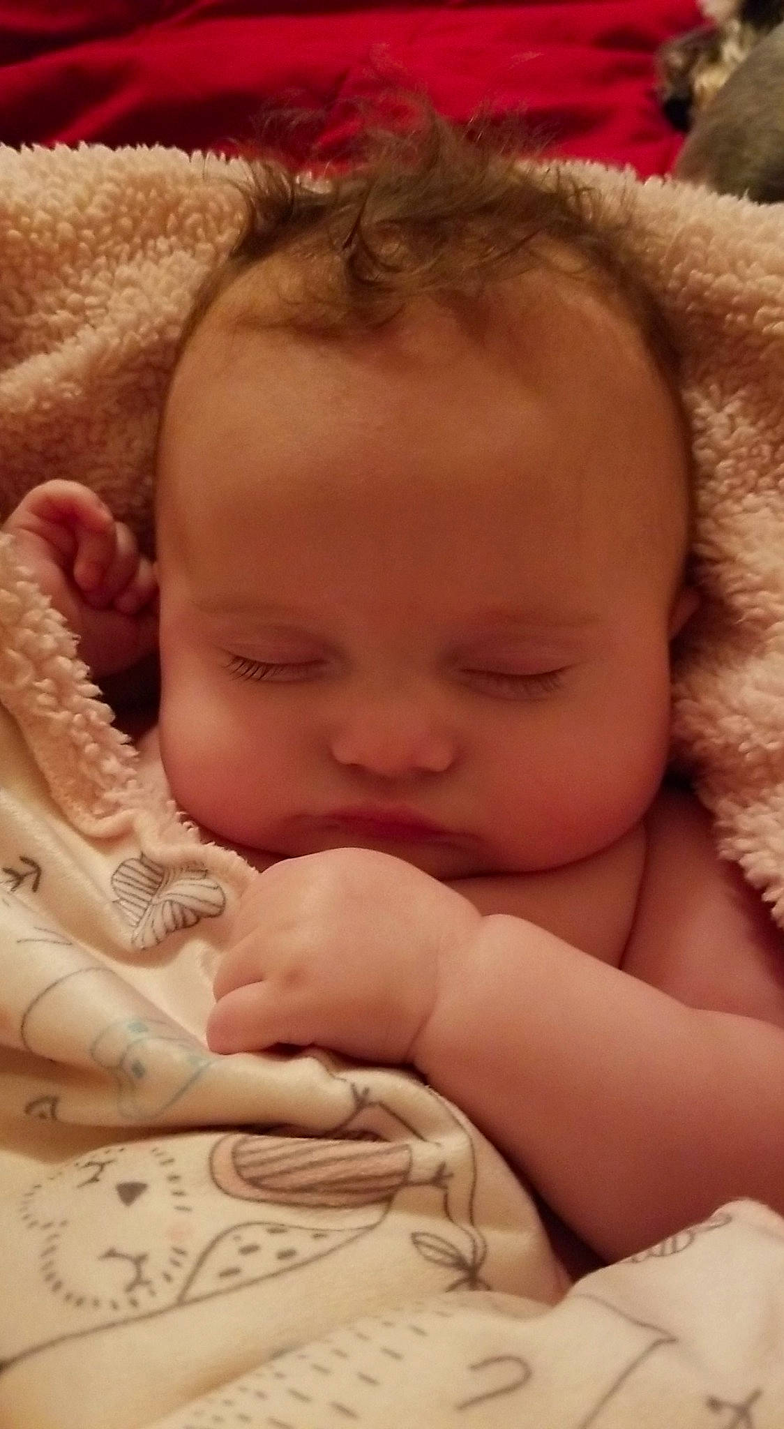 Daisy is registered to the contest to win money with this photo: arm, cheek, chin, comfort, ear, eye, eyebrow, eyelash, face, facial_expression, head, leg, lip, mouth, muscle, nose, organ, person, product, skin