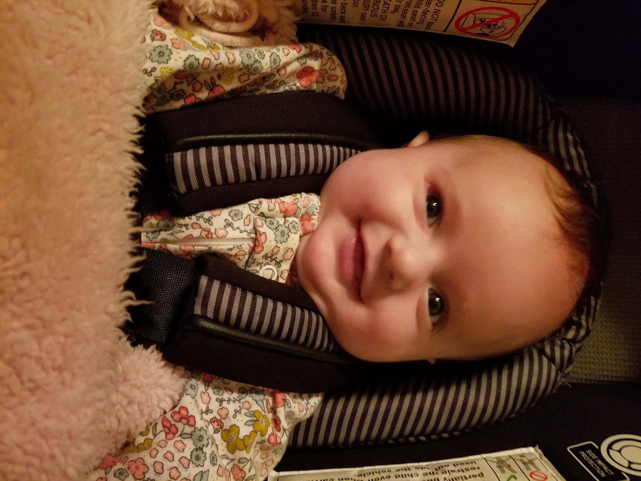 Daisy is registered to the contest to win money with this photo: baby, baby_toddler_clothing, brown, cheek, chin, clothing, comfort, eye, eyebrow, face, iris, joy, lip, mammal, mouth, nose, person, skin, smile, toddler