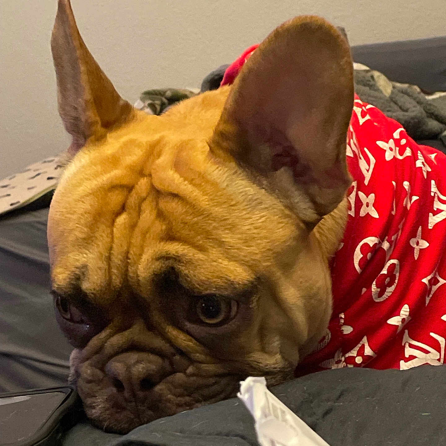 Winston