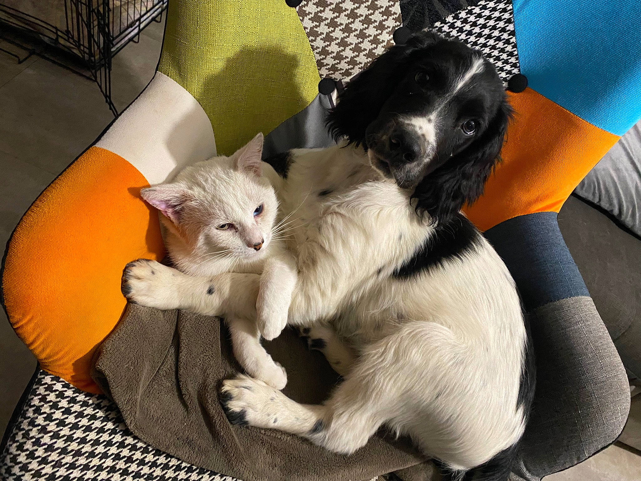 Tango