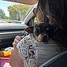 car_interior, close_up, companion, cute, daylight, dog, glasses, hand, lace_clothing, nature, pet, portrait, relaxation, road, seat, shoulder, sunlight, travel, window, woman