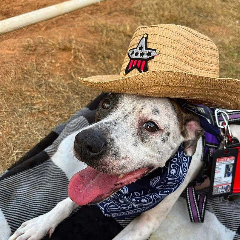 Oakley