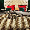 Rocky participe au concours pour gagner de l'argent avec cette photo : bed, bedroom, blanket, cat, comfort, cozy, dark_wall, domestic_cat, fur_blanket, furniture, green_pillows, headboard, home, indoor, pillows, red_pillows, relaxing, resting_cat, tabby_cat, tufted_headboard