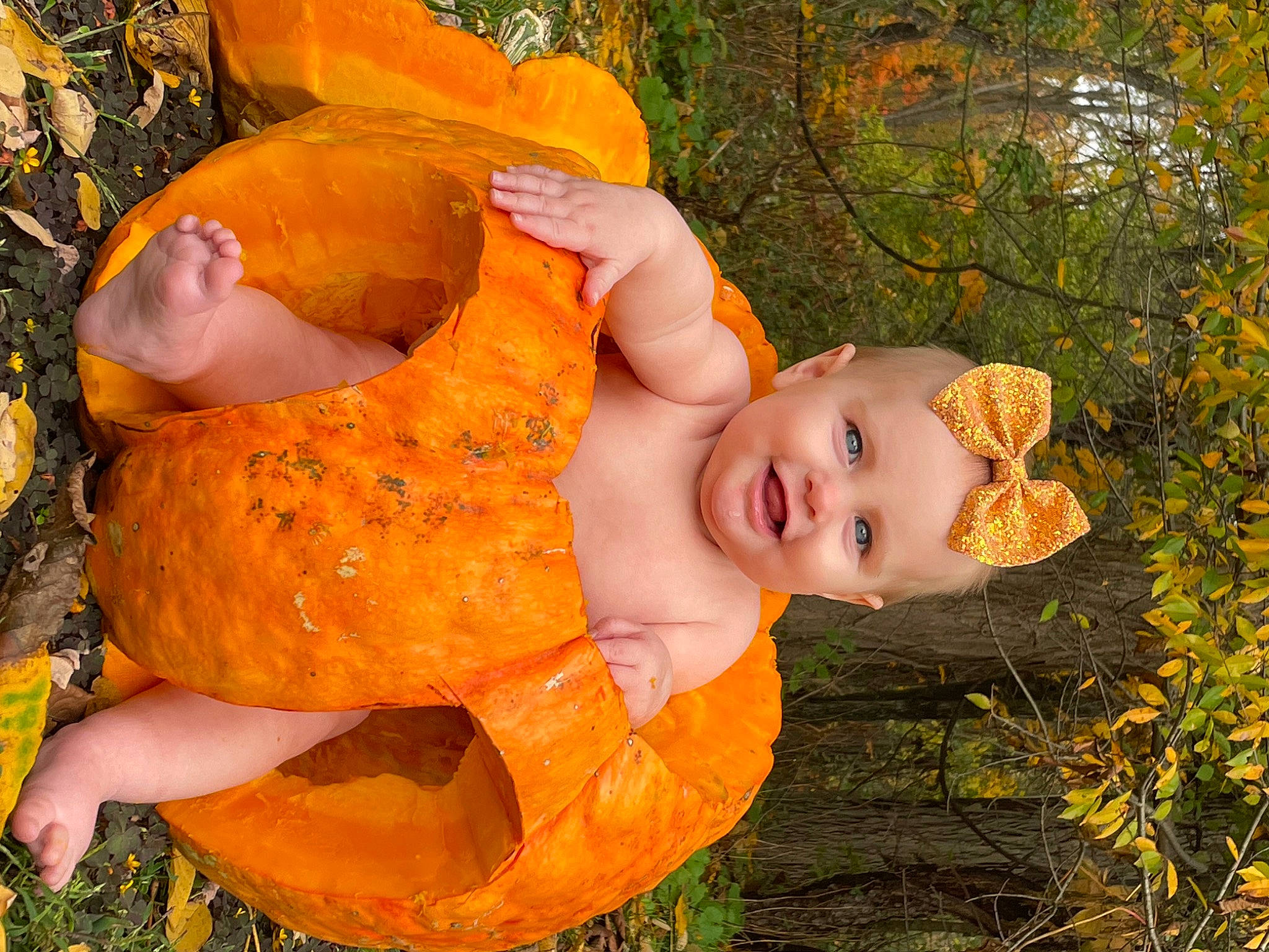 Ivy is registered to the contest to win money with this photo: art, baby_toddler_clothing, calabaza, child, eye, fun, gourd, grass, happy, human_body, joy, orange, organism, people_in_nature, person, plant, pumpkin, smile, squash, toddler
