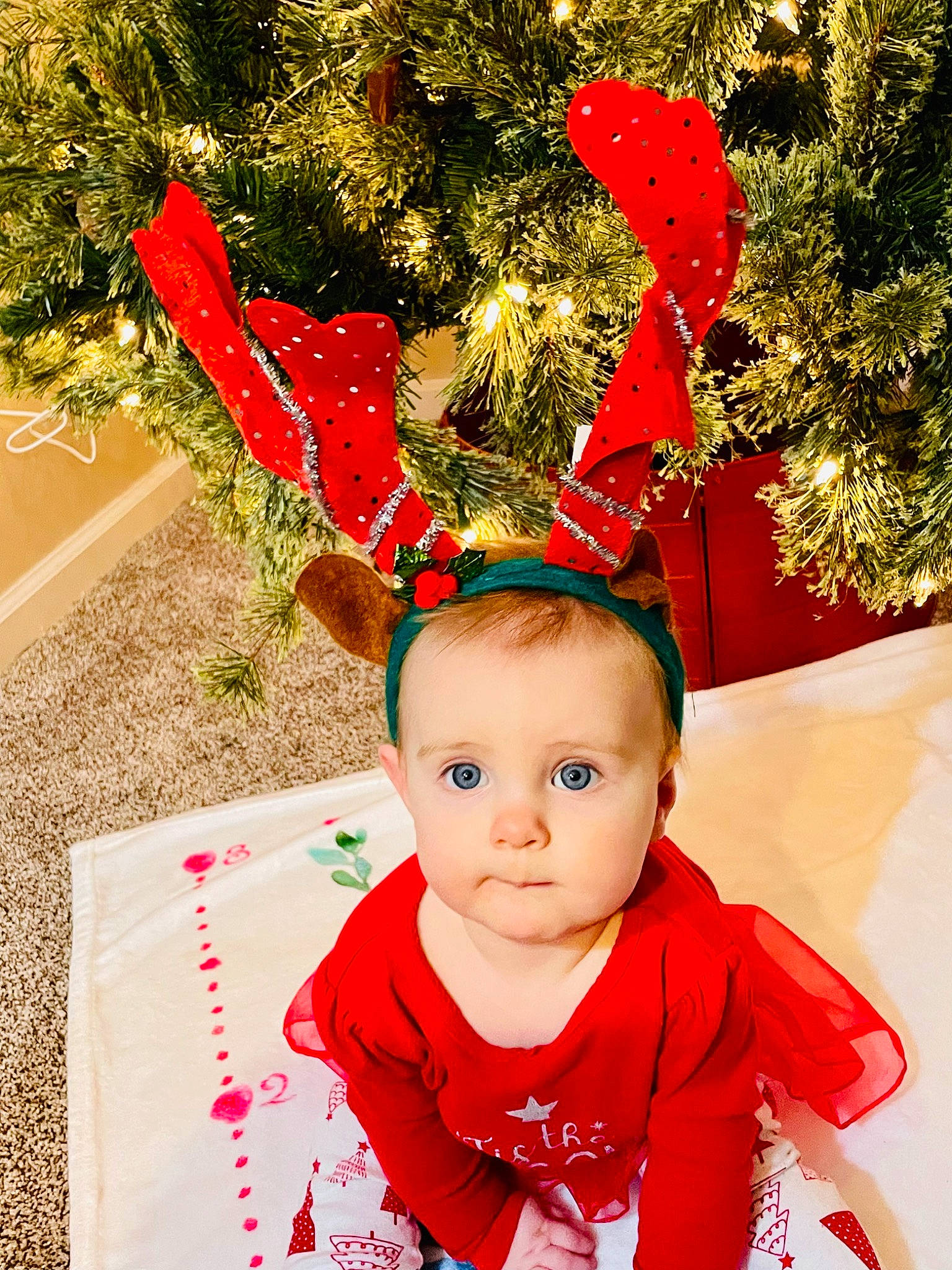 Ivy is registered to the contest to win money with this photo: baby, baby_toddler_clothing, carmine, christmas, christmas_decoration, christmas_eve, christmas_ornament, christmas_tree, costume_hat, event, fashion_accessory, grass, happy, hat, holiday, holiday_ornament, ornament, person, red, toddler