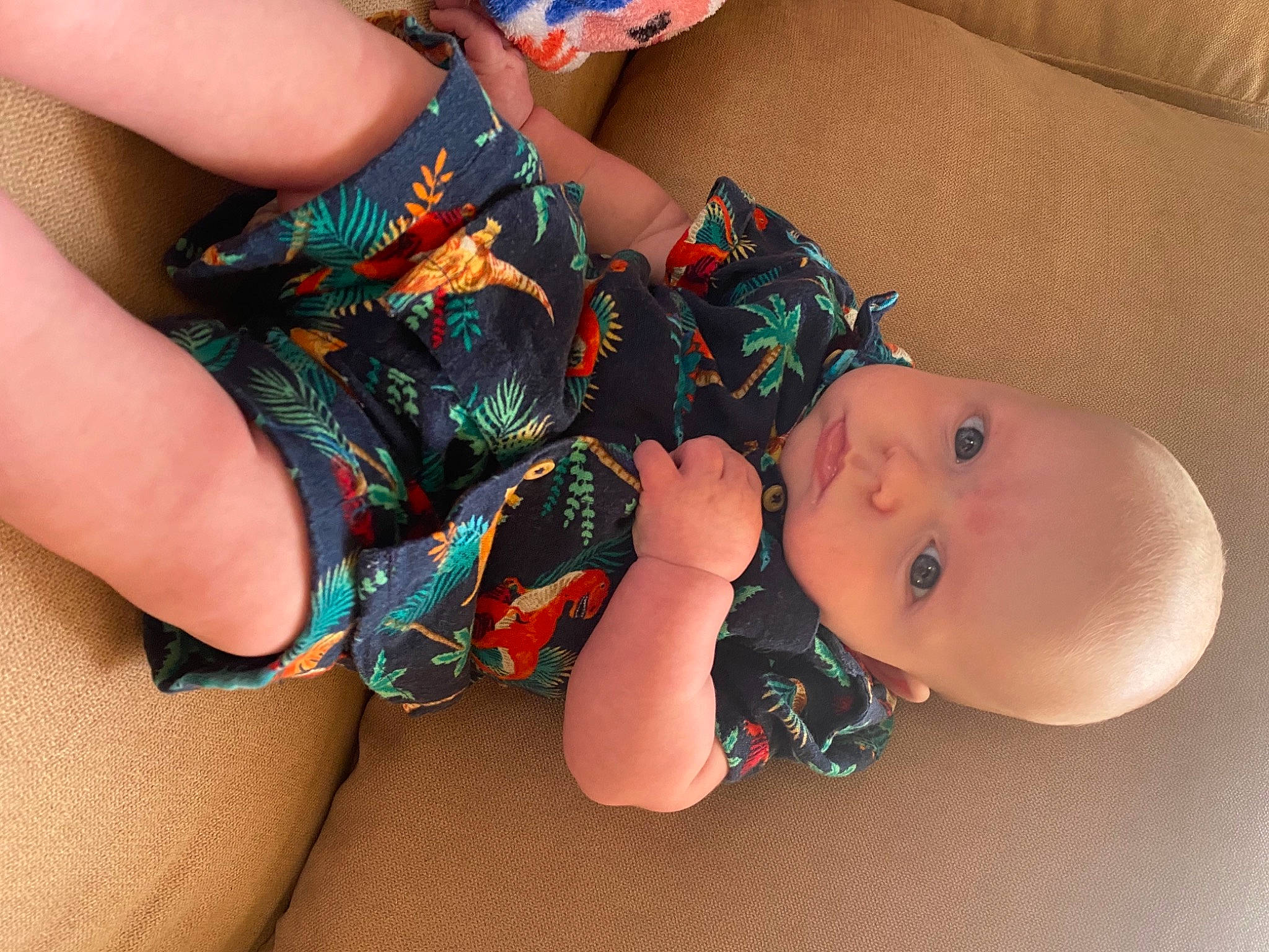 Flynn joined the competition — help win amazing prizes! arm, baby, baby_toddler_clothing, dress, elbow, finger, gesture, hand, happy, human_body, joint, leg, nail, neck, nose, person, skin, thigh, thumb, toddler