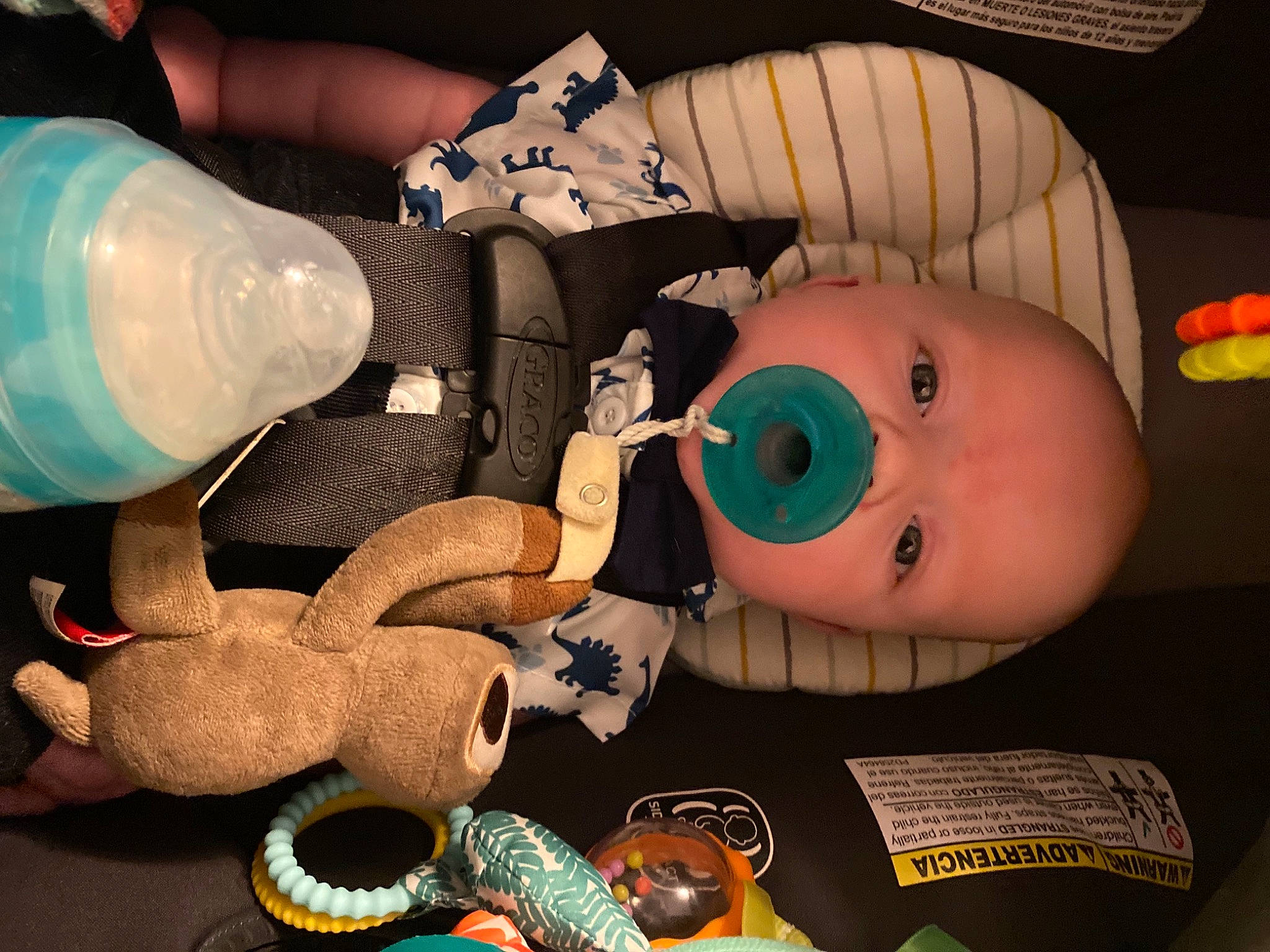 Flynn joined the competition — help win amazing prizes! animation, baby_products, baby_toys, bottle, child, doll, finger, joint, mouth, nail, person, plastic, plastic_bottle, plush, product, room, stuffed_toy, textile, toy, water