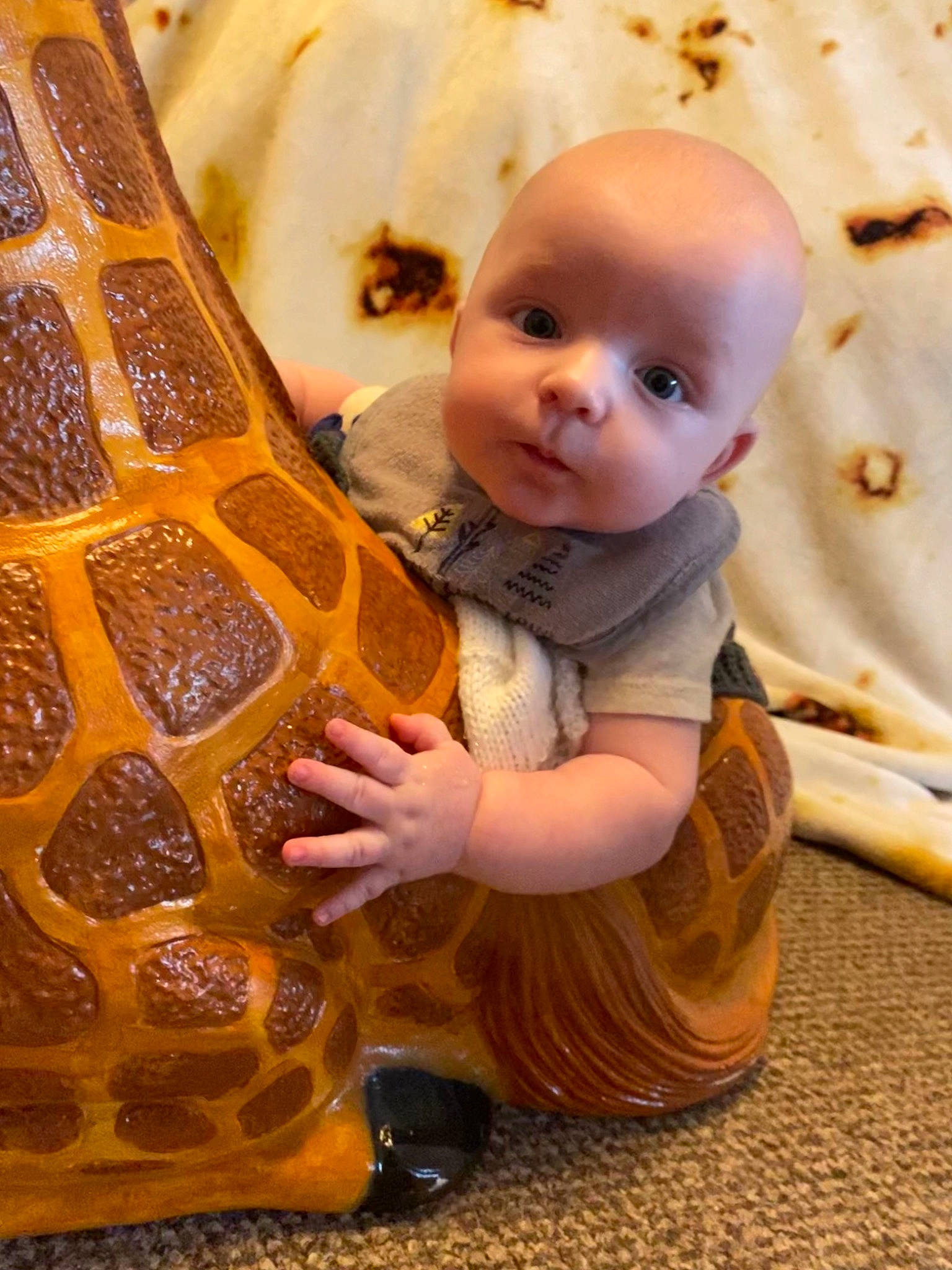 Flynn is registered to the contest to win money with this photo: baby, baby_toddler_clothing, cheek, child, comfort, dress, fawn, finger, fun, hairstyle, happy, head, human_body, iris, nose, orange, person, skin, sleeve, toddler