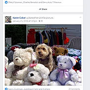 Benji is registered to the contest to win money with this photo: dog, stuffed_animals, teddy_bear, plush, toy, clothing, hanger, outdoor, garden, smiling, pet, fur, cute, animal, face, portrait, group, colorful, fabric, background