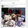 animal, background, clothing, colorful, cute, dog, fabric, face, fur, garden, group, hanger, outdoor, pet, plush, portrait, smiling, stuffed_animals, teddy_bear, toy