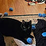 black_cat, blue_toys, carpet, cat, clothing, cozy, eyes, floor, fur, hardwood_floor, indoor, messy_room, pet, playful, pom_poms, rug, shirt, slippers, toy_mouse, whiskers