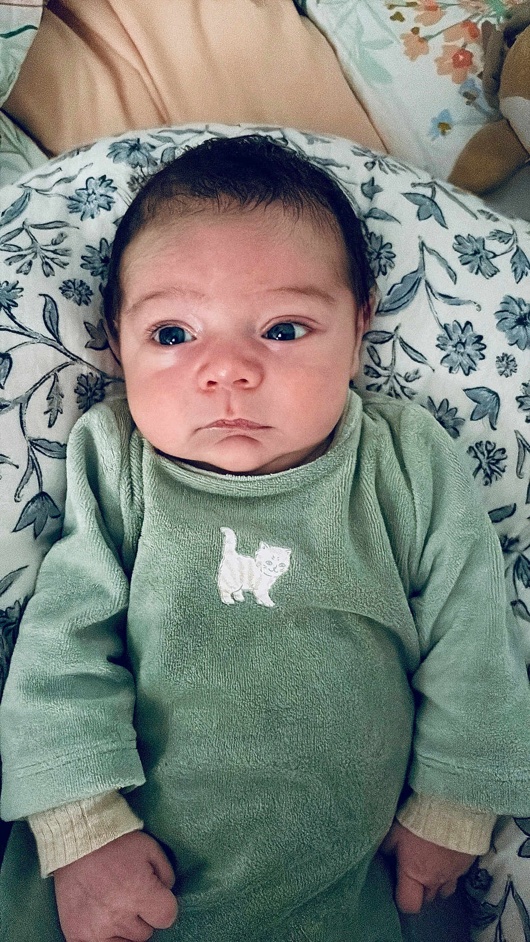 Eren participe au concours pour gagner de l'argent avec cette photo : baby, infant, newborn, onesie, green_clothing, embroidered_cat, blanket, pillow, floral_pattern, face, eyes, hair, hands, portrait, indoors, closeup, skin, cute, sleepy, bedding