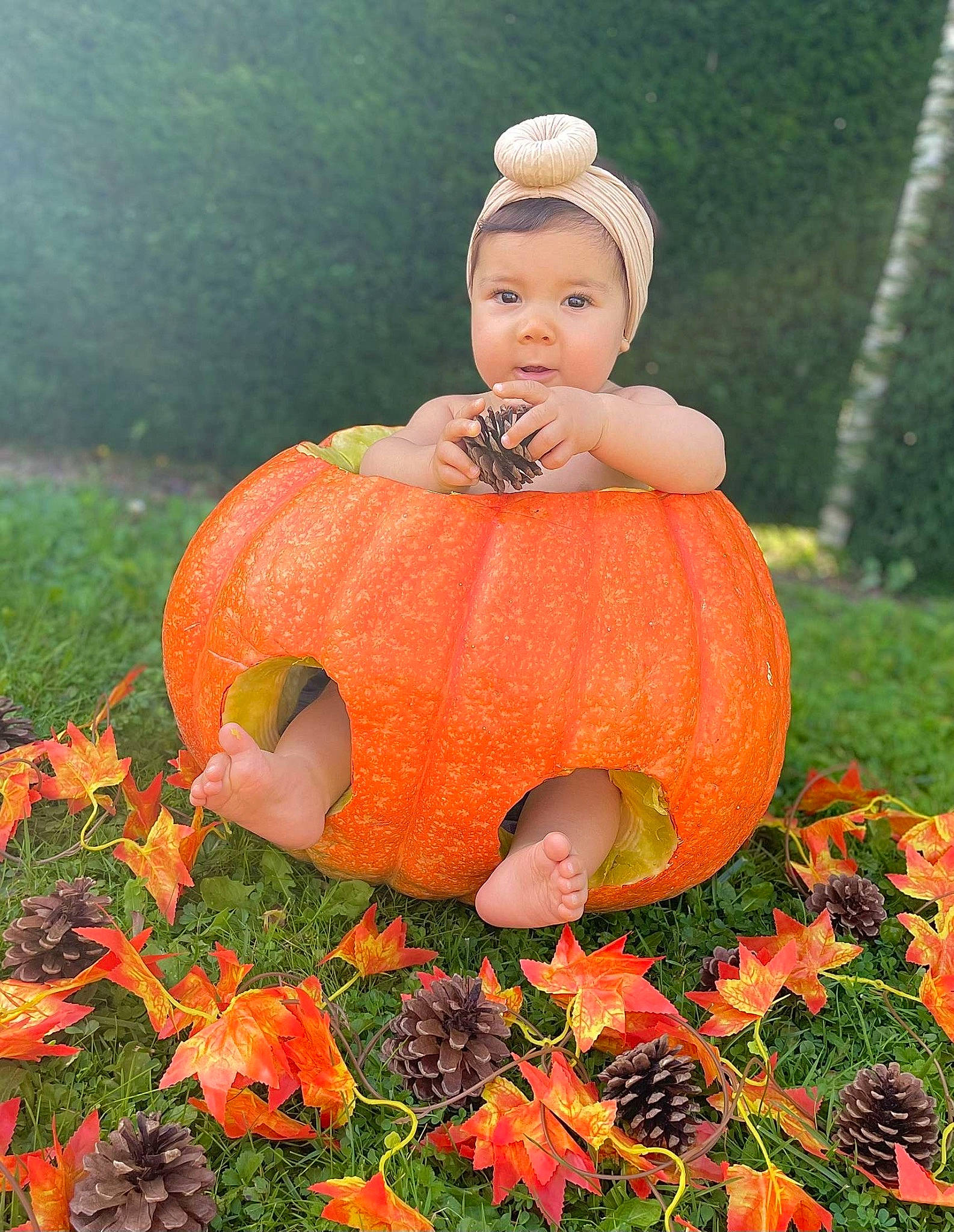 Shelby a rejoint le concours — aidez-le/la à gagner de superbes lots ! art, botany, calabaza, cucurbita, face, gourd, grass, happy, headwear, lawn_ornament, leaf, local_food, natural_foods, orange, people_in_nature, person, plant, pumpkin, squash, tree