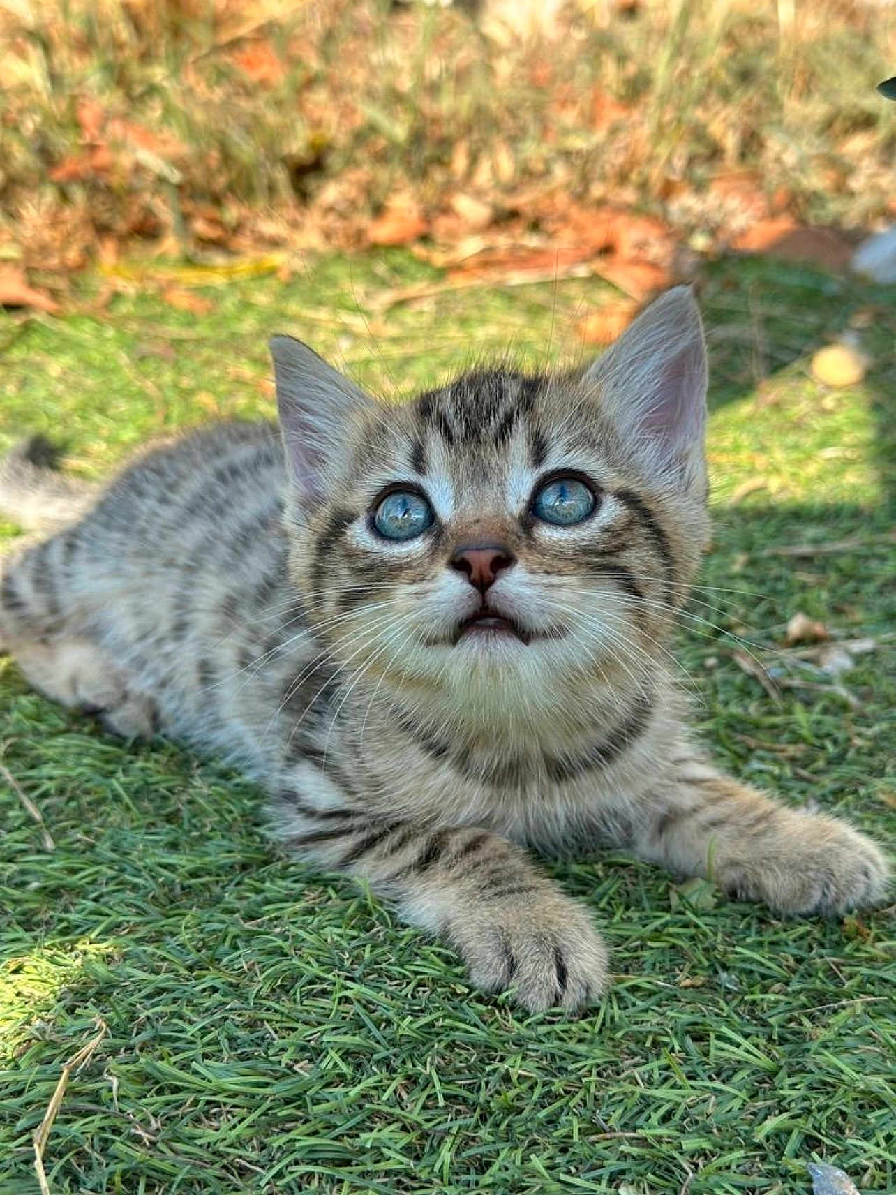 Ares