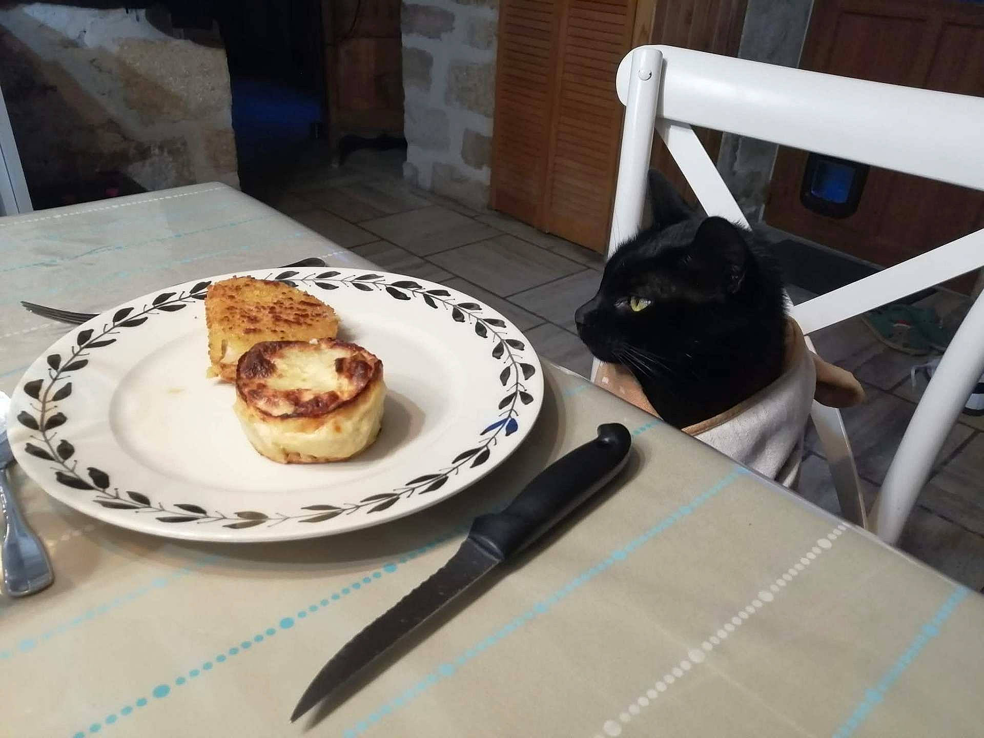 Jean-Claude participe au concours pour gagner de l'argent avec cette photo : animal, baked_goods, black_cat, cat, chair, curious, cutlery, feline, food, home, indoor, kitchen, knife, looking, pet, plate, table, tablecloth, tile_floor, wooden