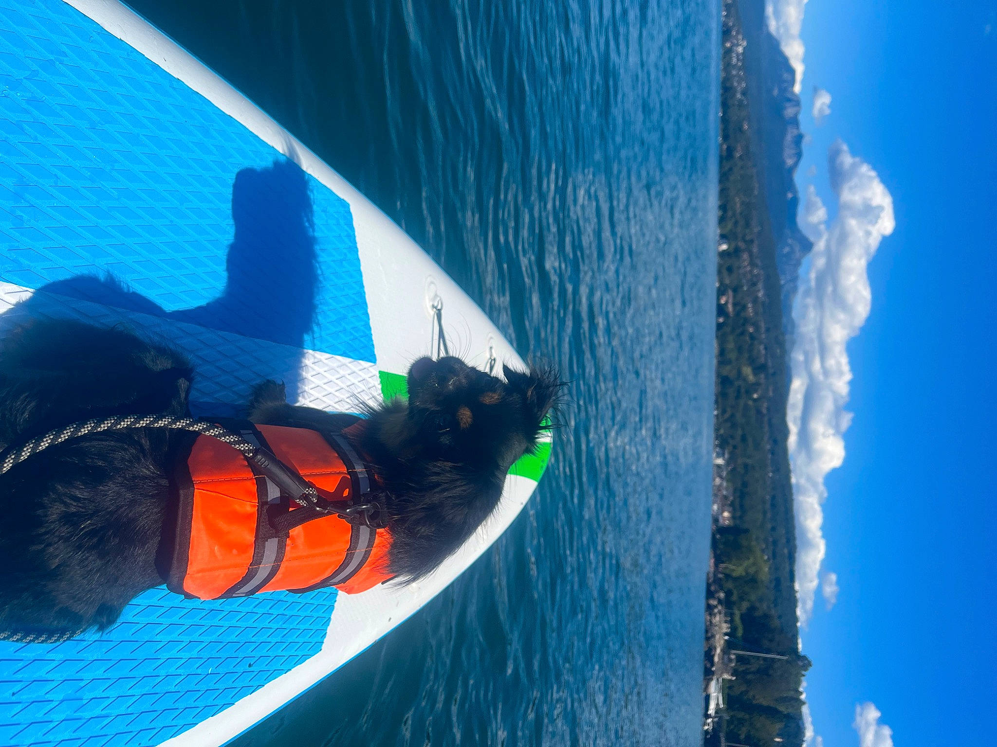 Sweety a rejoint le concours — aidez-le/la à gagner de superbes lots ! azure, boat, boats_and_boating_equipment_and_supplies, divemaster, dry_suit, electric_blue, fin, fun, lake, leisure, lifejacket, naval_architecture, outdoor_recreation, personal_protective_equipment, recreation, sky, vehicle, water, watercraft, wind_wave