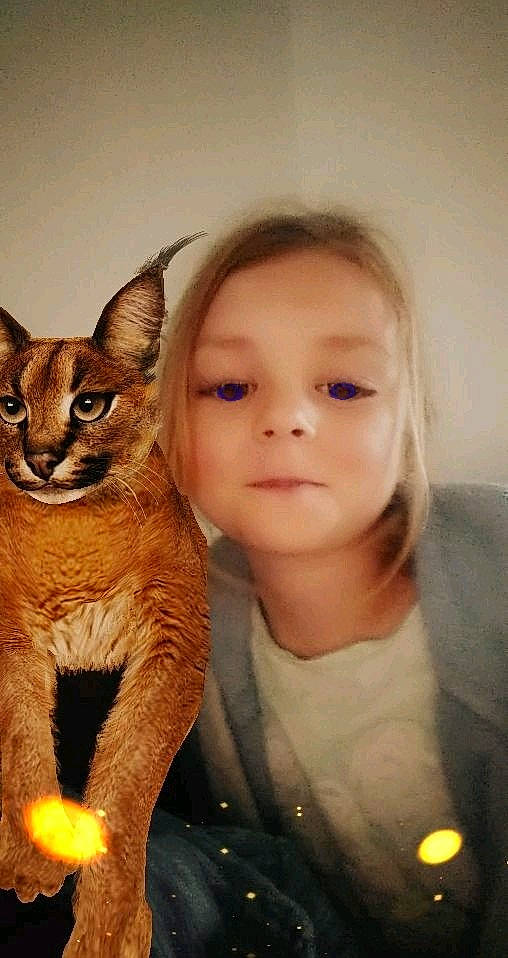 Sabrina a rejoint le concours — aidez-le/la à gagner de superbes lots ! asian, carnivore, cat, chausie, domestic_short_haired_cat, fawn, felidae, german_rex, mammal, person, small_to_medium_sized_cats, whiskers