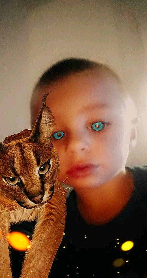 Sabrina a rejoint le concours — aidez-le/la à gagner de superbes lots ! carnivore, cat, cheek, domestic_short_haired_cat, eye, eyebrow, face, fawn, felidae, forehead, head, iris, nose, person, photography, selfie, small_to_medium_sized_cats, snout, whiskers