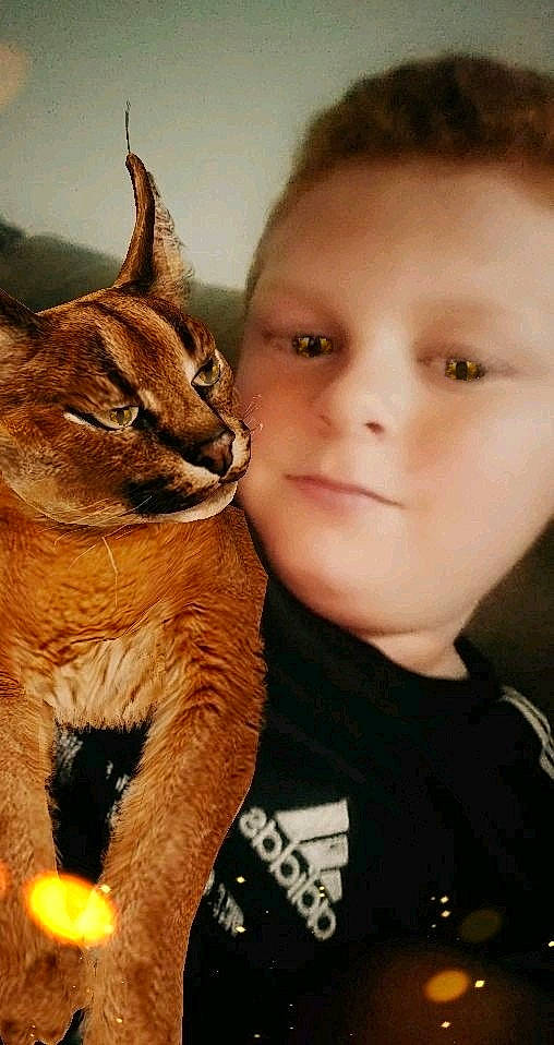 Sabrina a rejoint le concours — aidez-le/la à gagner de superbes lots ! carnivore, cat, cheek, child, curious, domestic_short_haired_cat, ear, eye, fawn, felidae, nose, person, photography, skin, small_to_medium_sized_cats, smile, whiskers