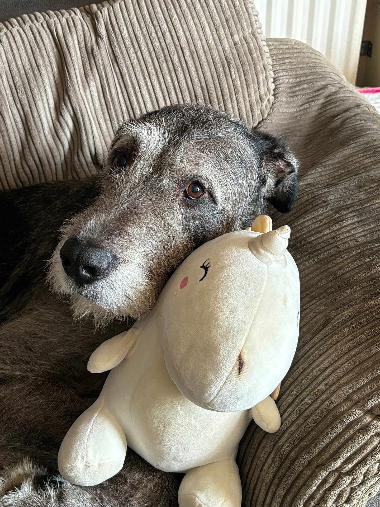 Smudge is registered to the contest to win money with this photo: dog, plush_toy, unicorn, couch, fabric, pet, indoor, relaxed, snuggling, brown, beige, soft, stuffed_animal, closeup, companion, resting, cute, home, cozy, animal
