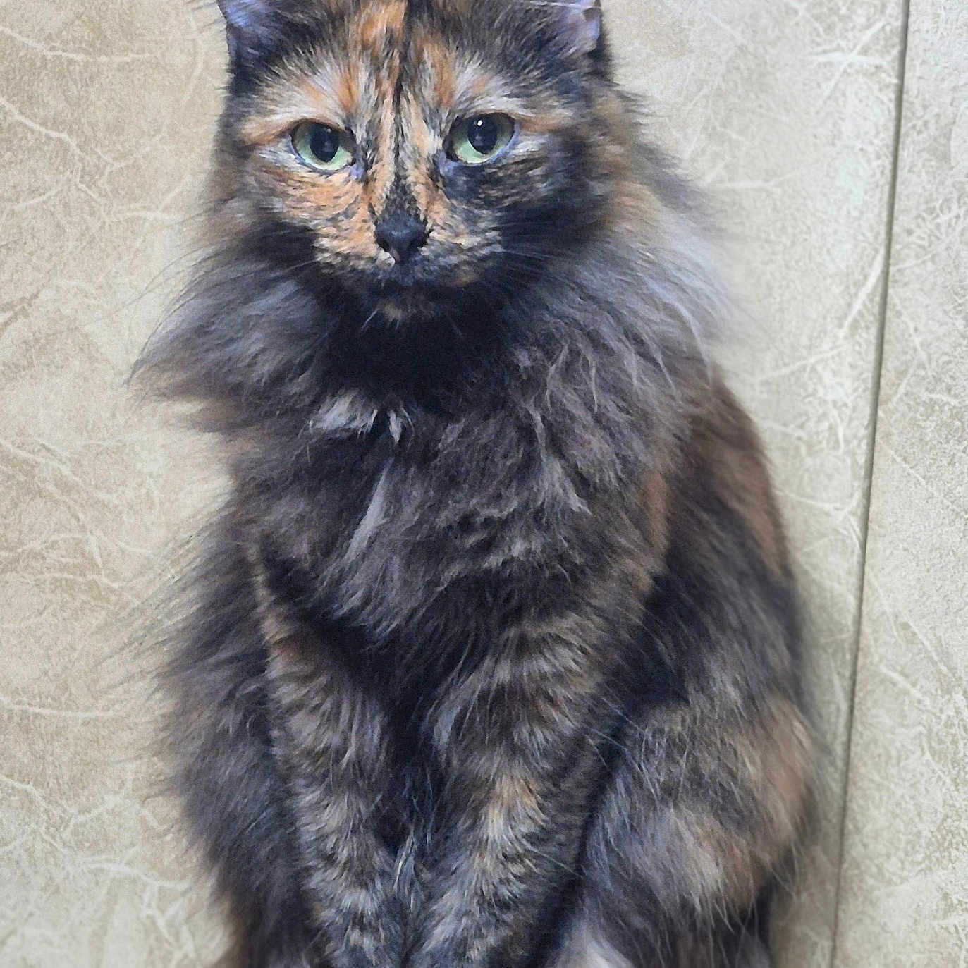 Coco