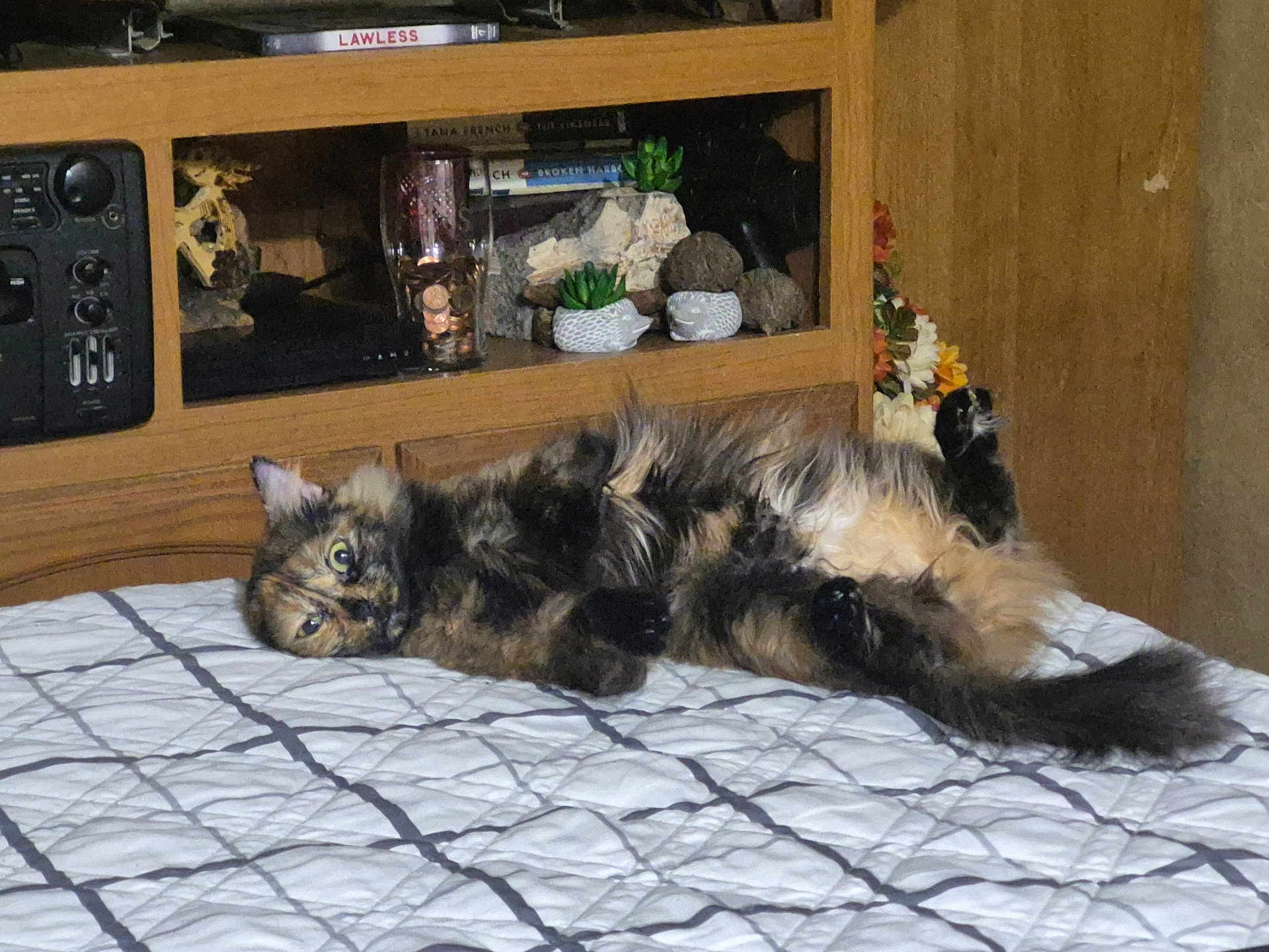 Coco