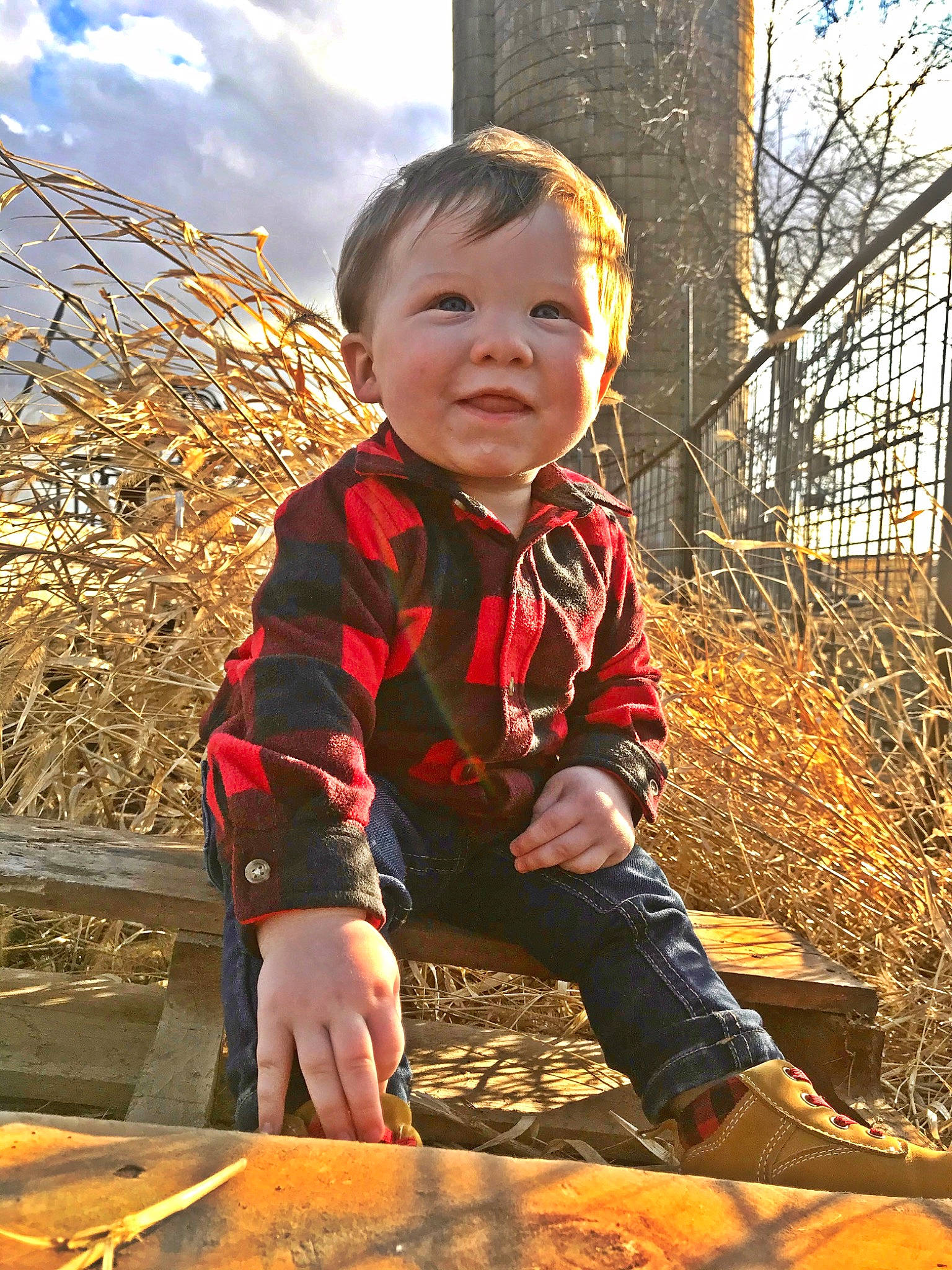 Augustus joined the competition — help win amazing prizes! autumn, child, child_model, leaf, person, play, toddler, tree, wood