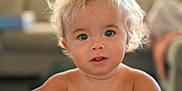 Duke is registered to the contest to win money with this photo: baby, bare_shoulders, blonde_hair, child, closeup, curiosity, curly_hair, cute, expression, eyes, face, head, human, indoor, innocent, person, portrait, skin, toddler, young_child