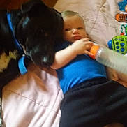 Tank joined the competition — help win amazing prizes! baby, black_dog, blanket, blue_clothing, bond, bottle, casual, child, comfort, cuddle, dog, floor, indoor, infant, lying_down, pet, playtime, resting, toy, wooden_floor