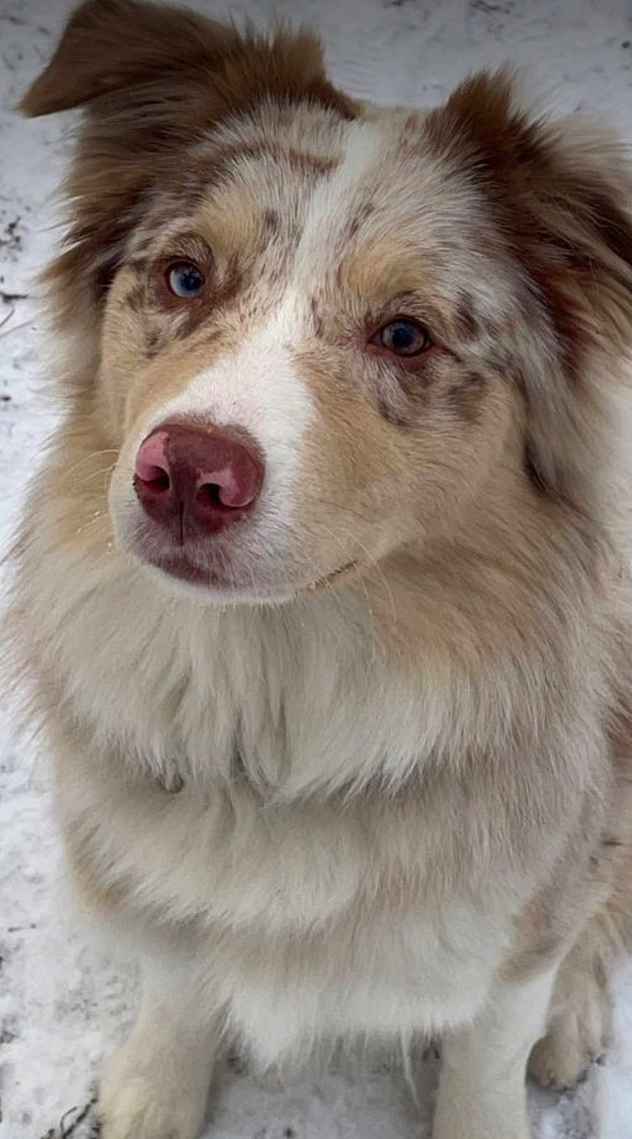 Bailey