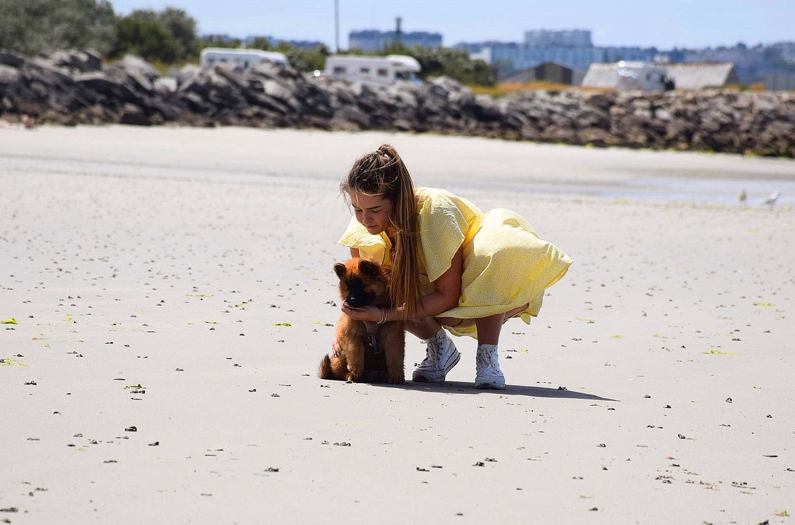 Toundra a rejoint le concours — aidez-le/la à gagner de superbes lots ! asphalt, beach, body_of_water, coast, fun, grass, happy, landscape, leisure, ocean, people_in_nature, road_surface, sand, shadow, sitting, sky, soil, travel, tree, wood
