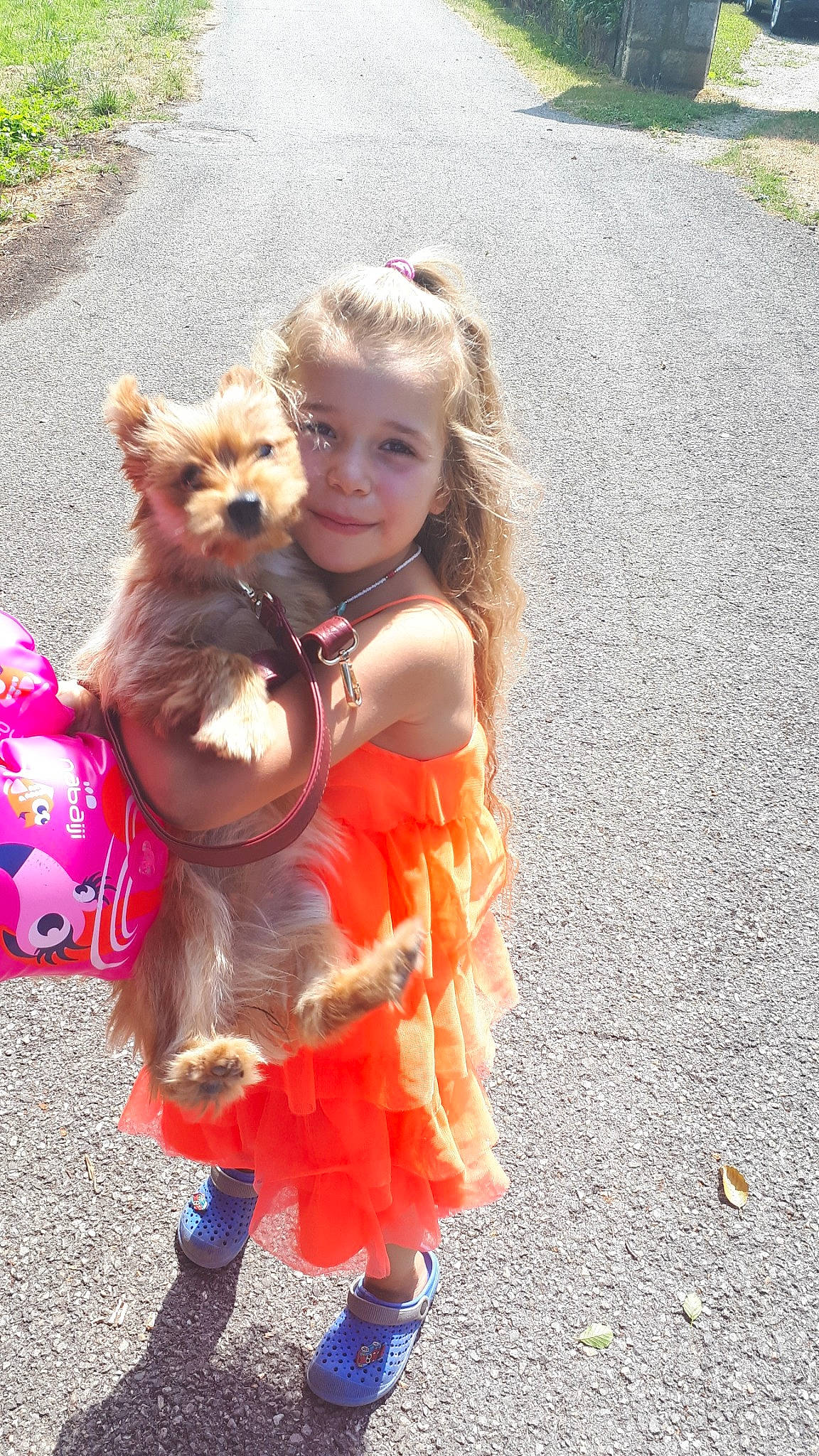 Mona a rejoint le concours — aidez-le/la à gagner de superbes lots ! carnivoran, child, dog, dog_like_mammal, fun, fur, girl, mammal, person, pink, play, pomeranian, skin, toddler, vertebrate