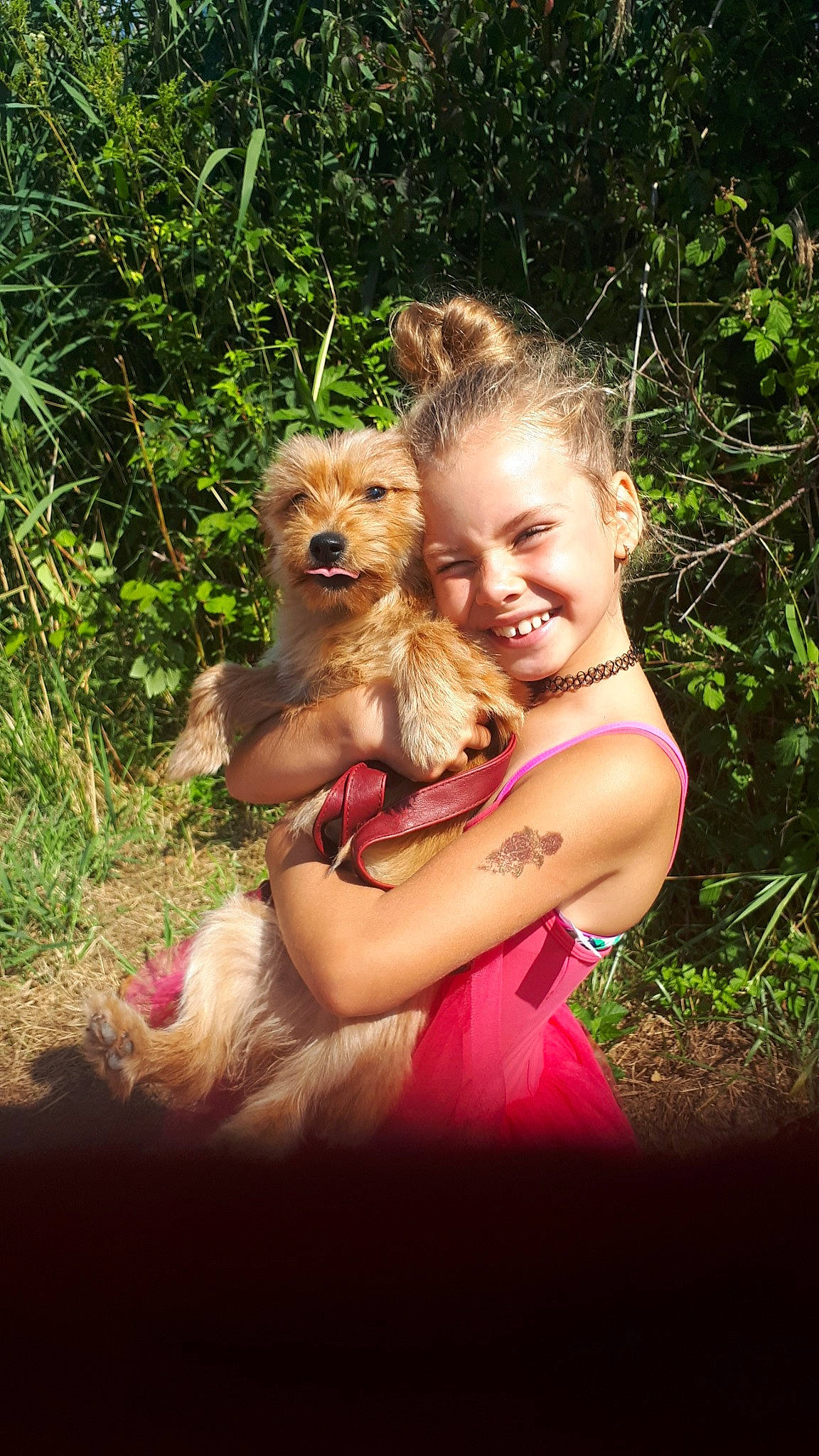 Léa participe au concours pour gagner de l'argent avec cette photo : carnivoran, child, companion_dog, dog, dog_breed, dog_like_mammal, fun, girl, grass, joy, mammal, person, plant, play, pomeranian, puppy, skin, smile, toddler, tree