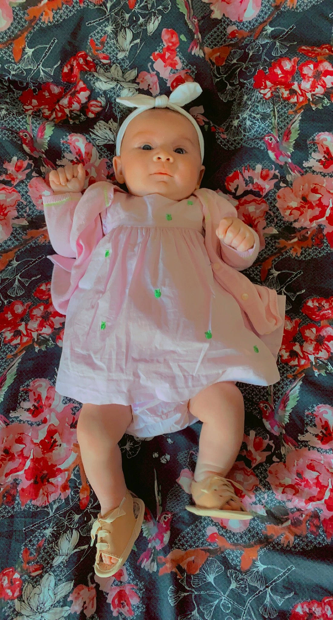 Romane participe au concours pour gagner de l'argent avec cette photo : baby_toddler_clothing, child, day_dress, doll, dress, eye, fawn, footwear, hairstyle, lip, magenta, one_piece_garment, person, petal, pink, plant, skin, sleeve, textile, toy