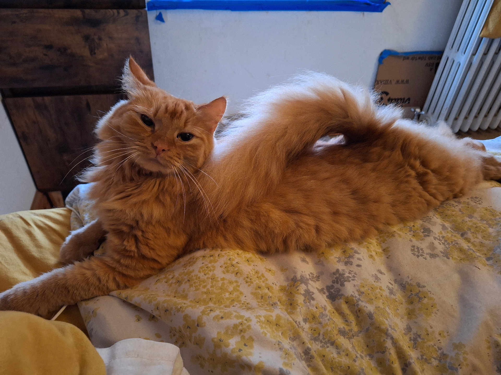 Jerry