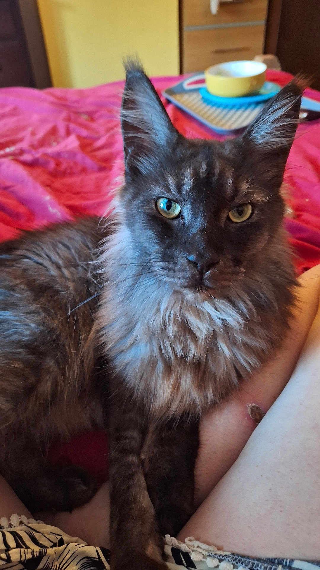 Boris