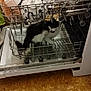 Sayko Et Kënai a rejoint le concours — aidez-le/la à gagner de superbes lots ! cat, dishwasher, kitchen, dishes, glassware, bowl, utensils, floor, black_and_white, pet, animal, indoor, appliance, cleaning, curious, feline, rack, water_droplets, household, playful