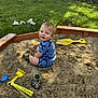 toddler, child, sandbox, sand, toy, yellow_shovel, yellow_rake, blue_toy, grass, tree_trunk, outdoor, summer, play, footwear, shorts, shirt, dinosaur_print, curious_expression, daylight, nature