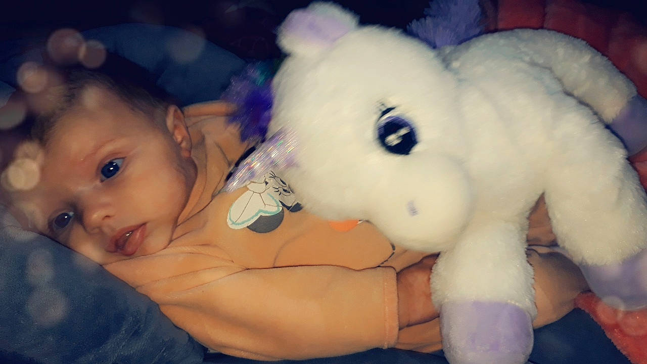 Elhyna a rejoint le concours — aidez-le/la à gagner de superbes lots ! cheek, child, ear, eye, face, girl, head, infant, iris, material, mouth, nose, organ, person, plush, skin, smile, snout, stuffed_toy, textile