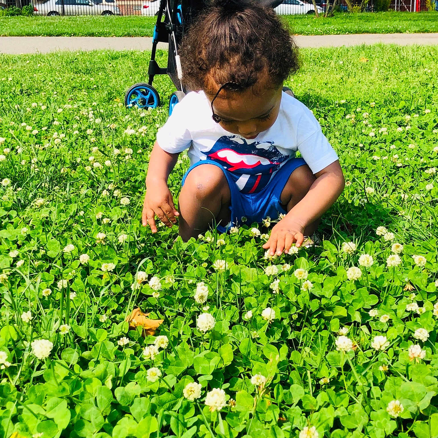 Dominick is registered to the contest to win money with this photo: adaptation, annual_plant, cash_crop, child, crop, farm, flower, grass, grass_family, groundcover, leaf, leaf_vegetable, plant, plantation, play, shrub, toddler