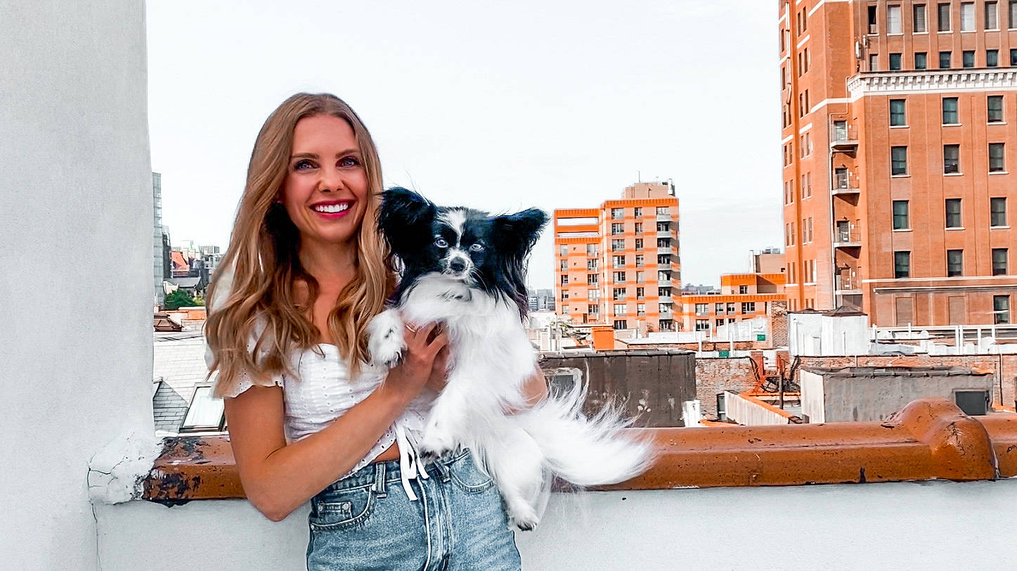 Eloise joined the competition — help win amazing prizes! australian_shepherd, border_collie, canidae, carnivore, companion_dog, dog, dog_breed, papillon, phalene, spaniel, sporting_group, toy_dog