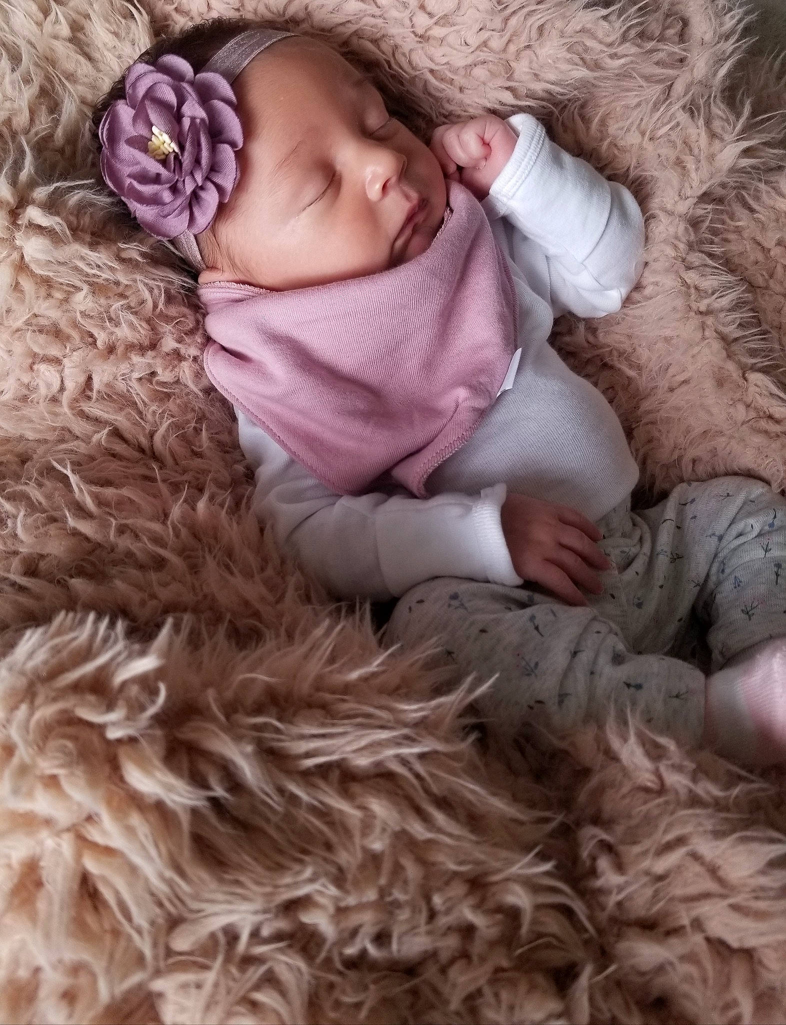 Teal is registered to the contest to win money with this photo: baby, baby_sleeping, bedtime, birth, cheek, child, ear, fawn, fur, nap, person, photography, pink, skin, sleep, textile, toddler