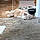 Jacoby