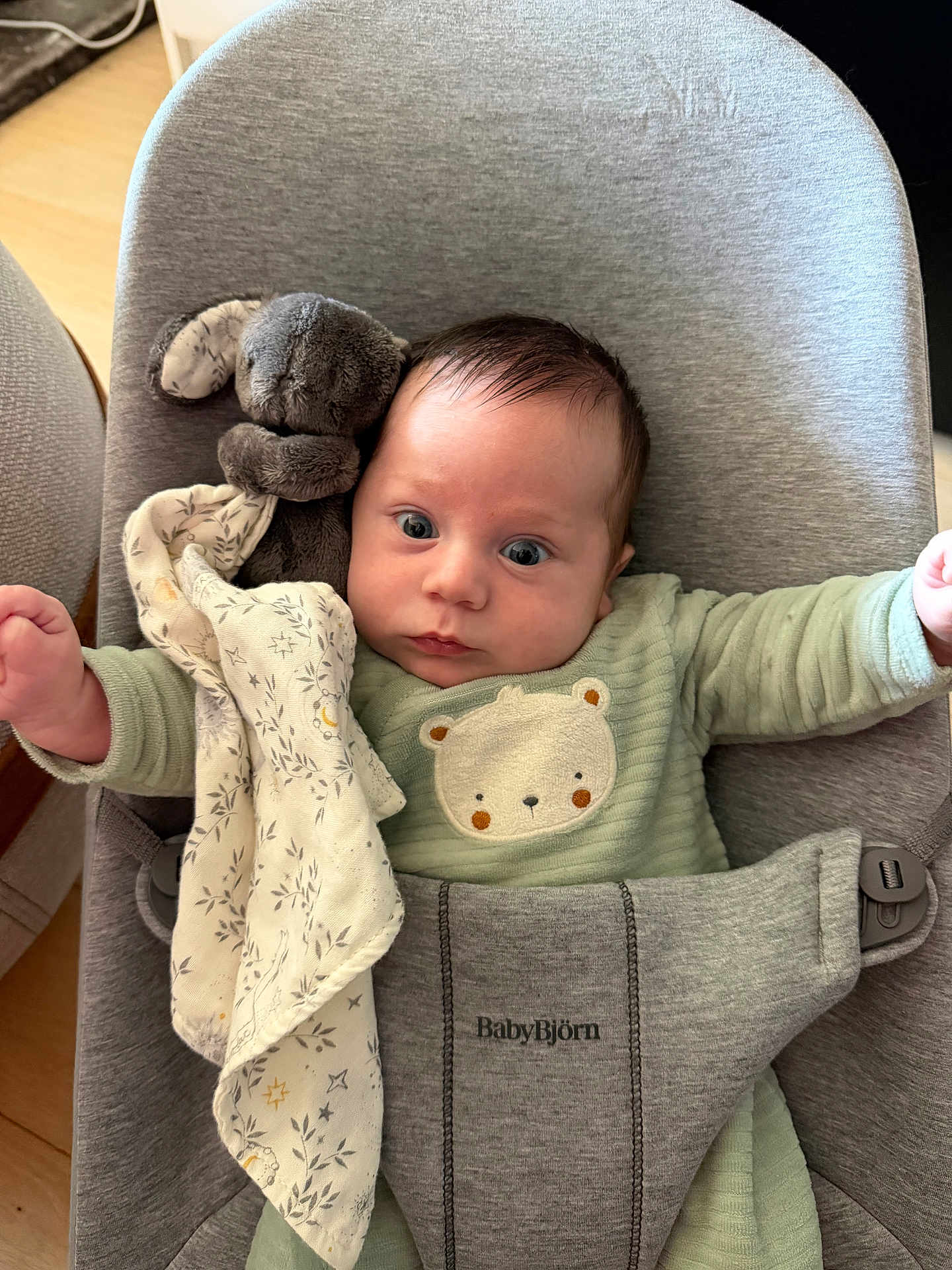 Malo participe au concours pour gagner de l'argent avec cette photo : baby, infant, newborn, bouncer, babybjörn, stuffed_toy, plush, blanket, onesie, face, eyes, hands, seat, fabric, wood_floor, home_interior, portrait, surprised_expression, cozy, gaze