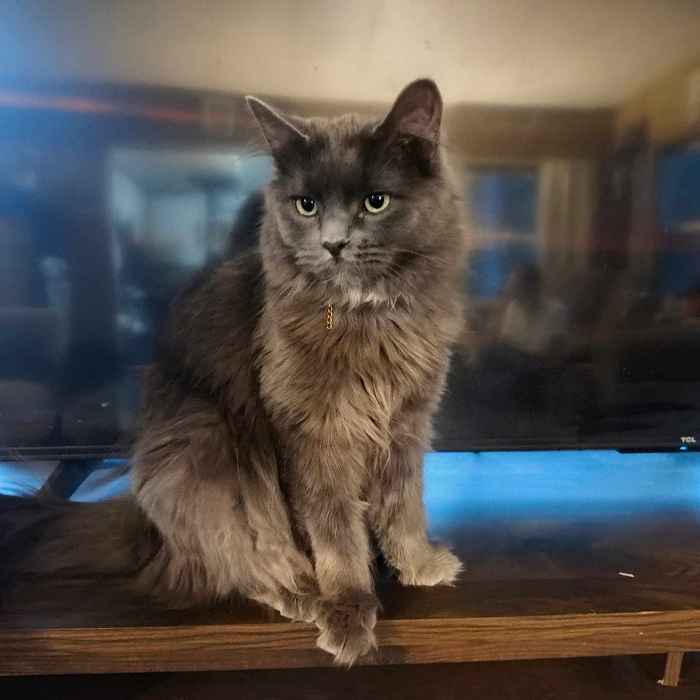Luna