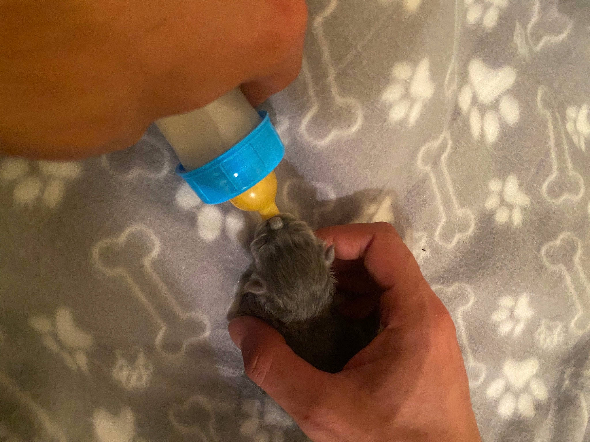 Uno a rejoint le concours — aidez-le/la à gagner de superbes lots ! art, child, electric_blue, finger, flooring, fluid, foot, gesture, hammer, hand, hardwood, illustration, nail, plastic, play, rock, soil, thumb, wood, wrist